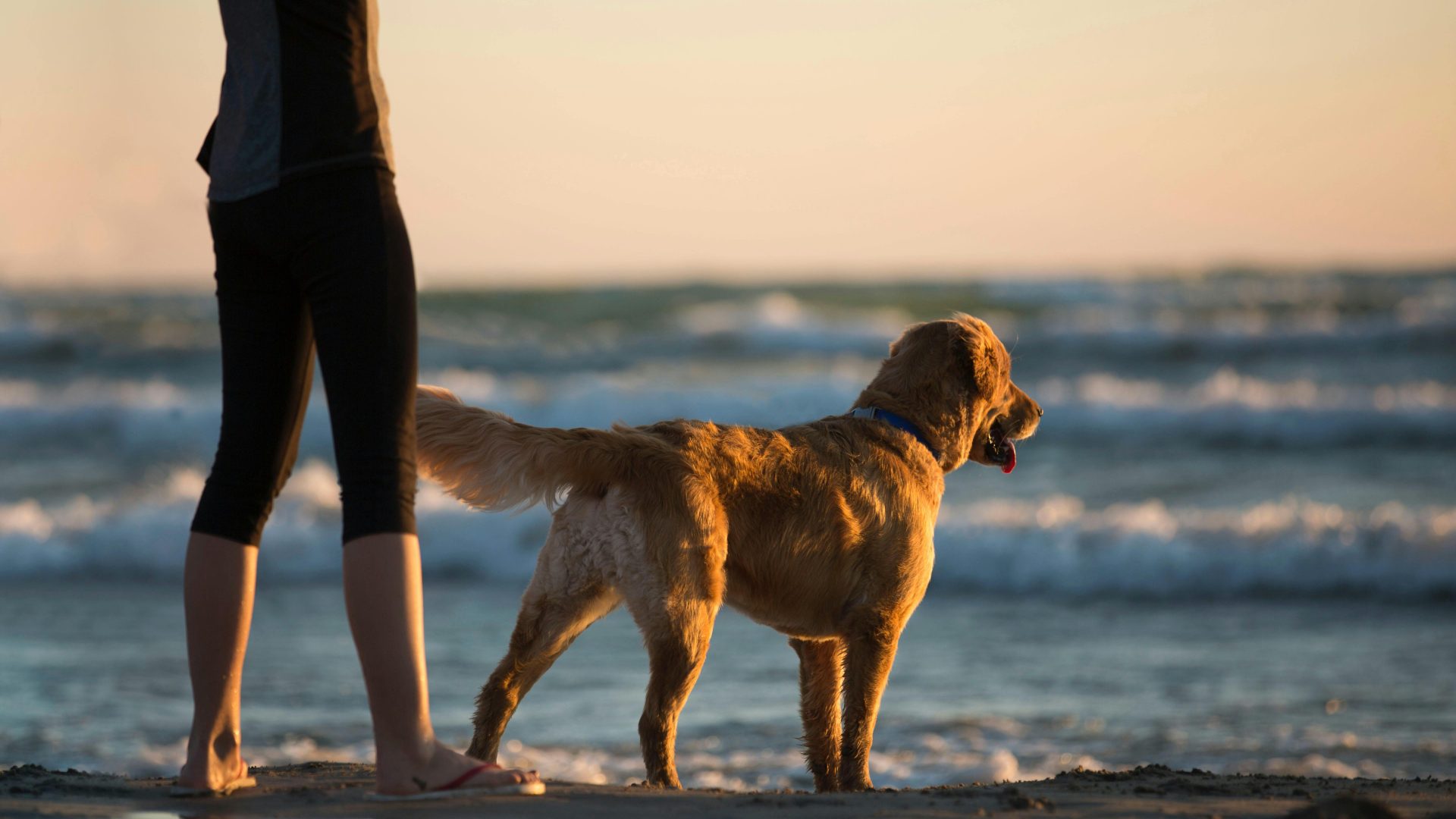 a woman is standing on the beach with her dog at The Alexa